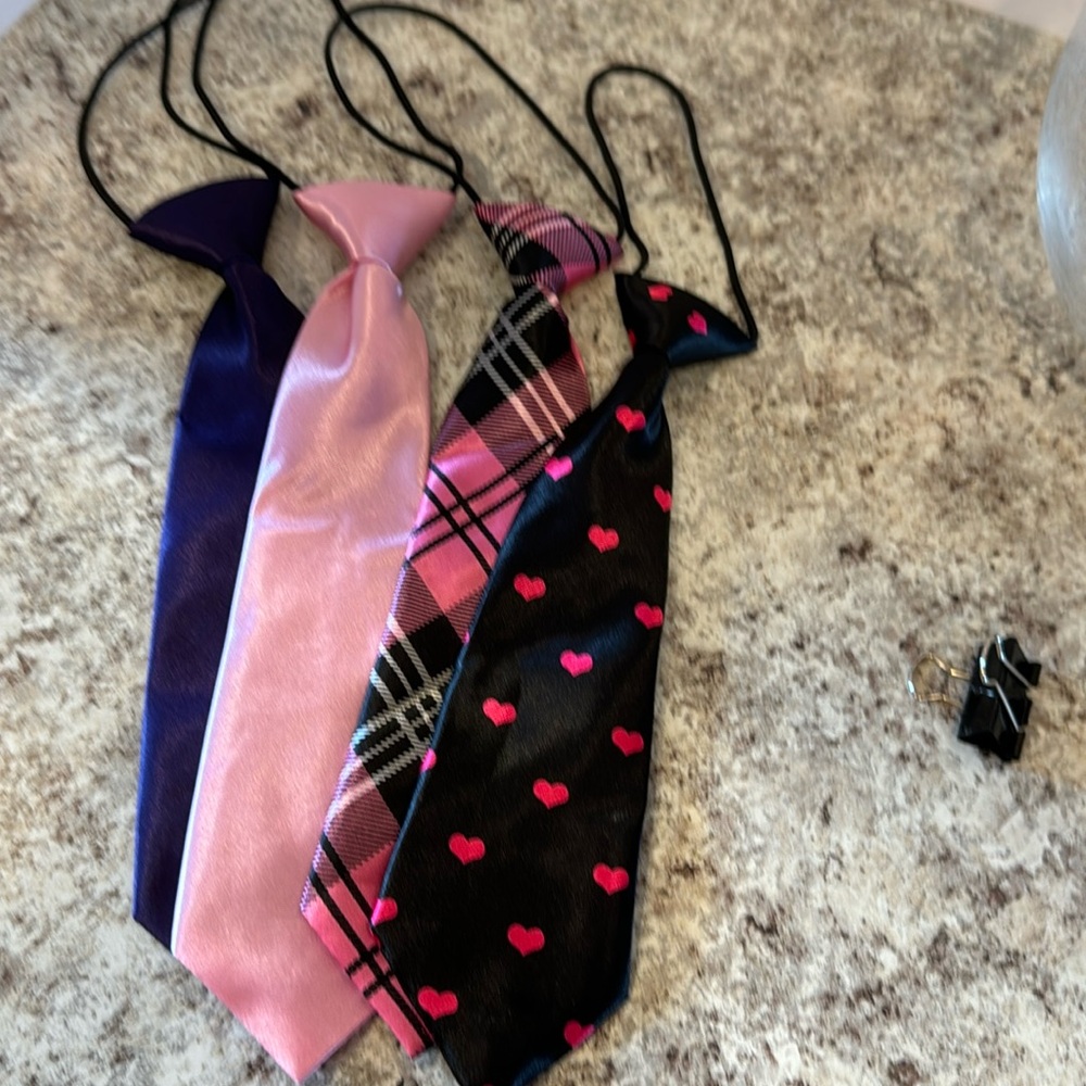 Ties 10” unisex ties set of 4. Attached elastic cord goes under the color